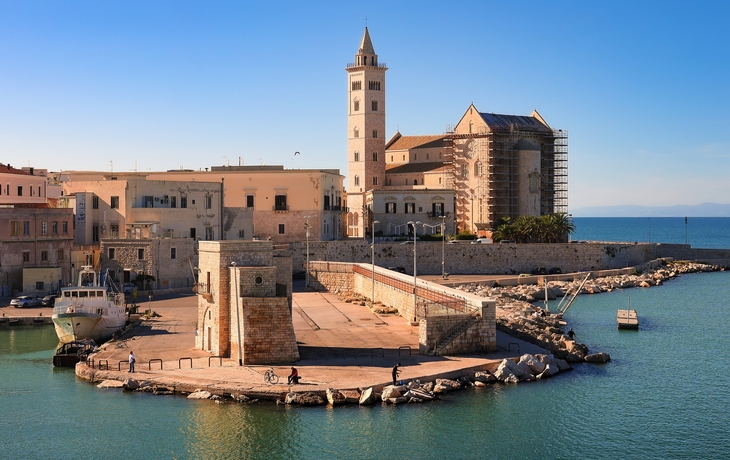 © Stefano Tammaro/Shutterstock