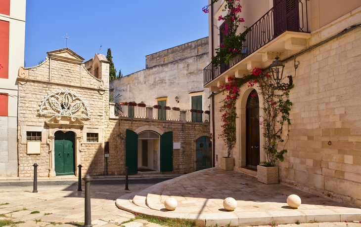 © Stefano Tammaro/Shutterstock