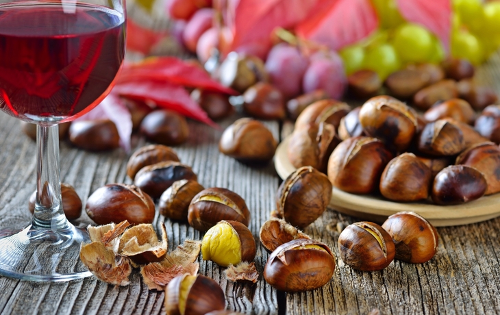 Reife Trauben hängen an einer Weinrebe, umgeben von leuchtend rot und grün verfärbten Blättern. - © pure-life-pictures - Fotolia
