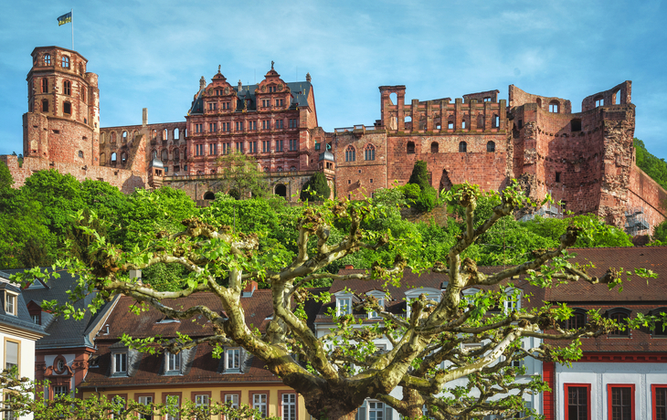 Heidelberger Schloss mit Altstadt und Bäumen im Vordergrund. - © Thorsten Assfalg - stock.adobe.com