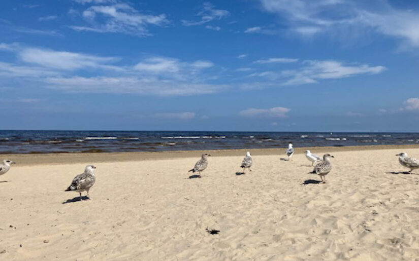 Urlaubsfoto von Sandra aus Riga