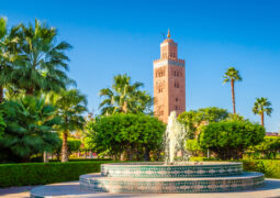 Reiseführer bestellen